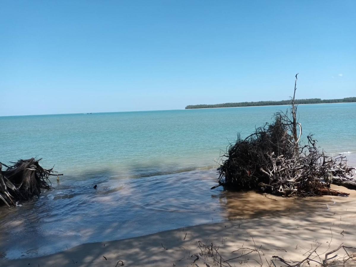 ขายที่ดินปิด ไม่ให้คนนอกเข้ามาตลอด มีทะเลสาบบึงน้ำจืด ริมทะเลชายหาดส่วนตัว อ.ตะกั่วป่า จ.พังงา ห่างจากเขาหลักเพียง 20 กว่ากม.