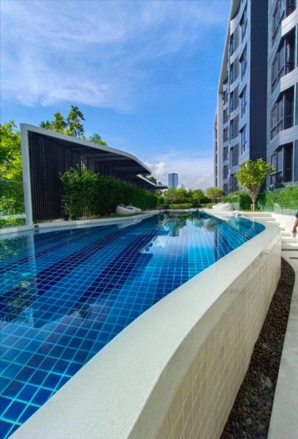 🔥ให้เช่าด่วน 🔥 Blue Condo สุขุมวิท 105 วิวสระว่ายน้ำ สวนส่วนกลางขนานตัวอาคาร ห้องอยู่ชั้น 3 ปากซอยใกล้ BTS แบริ่ง และท้ายซอยใกล้ MRT ศรีลาซาล